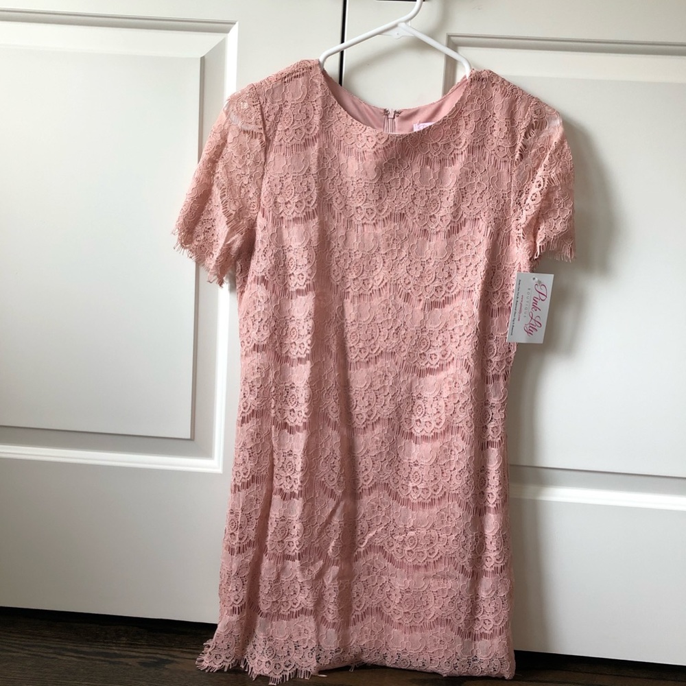 PinkLily Boutique Blush Lace Dress